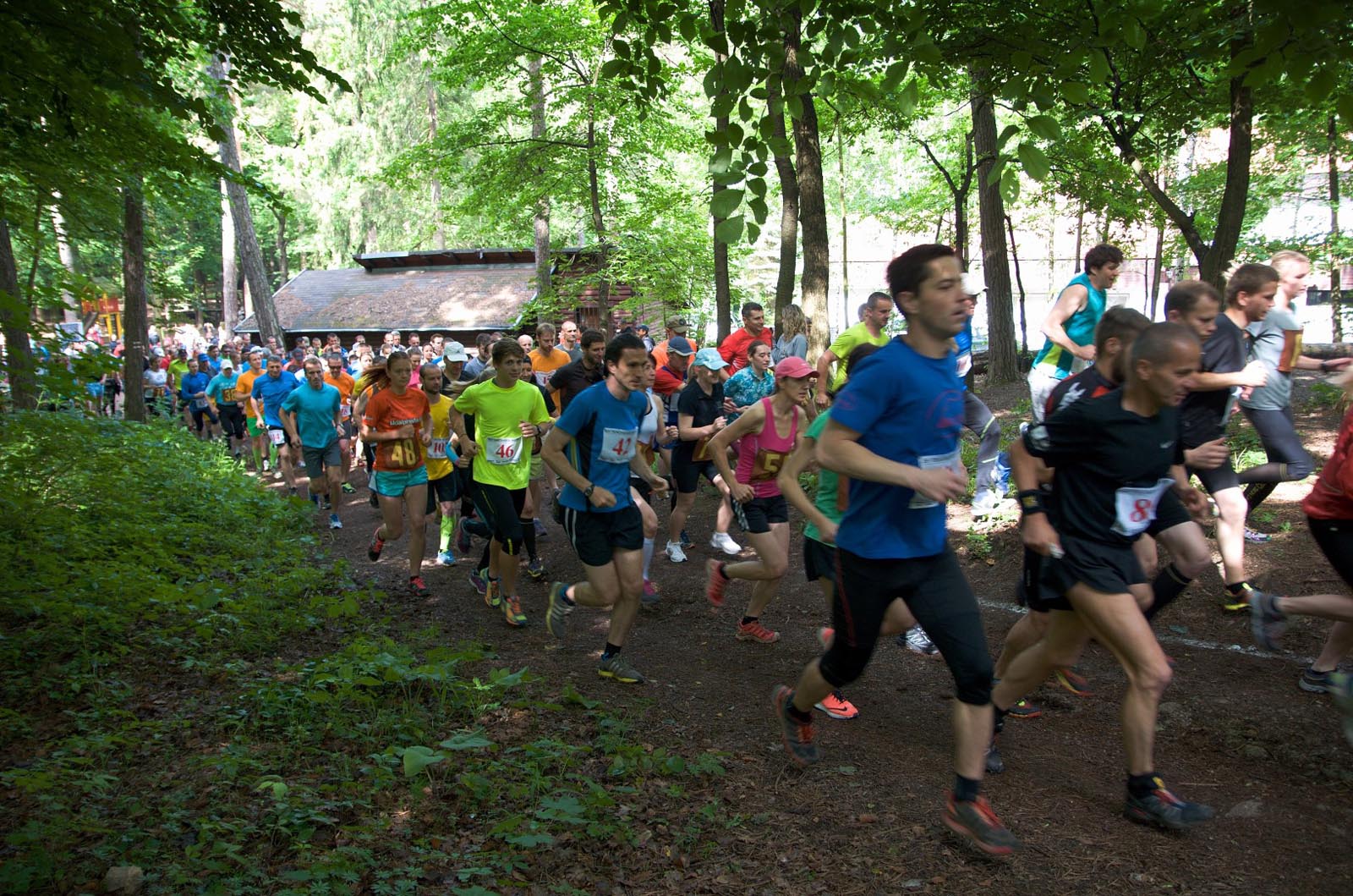 fotosoutez vlozeno z webu