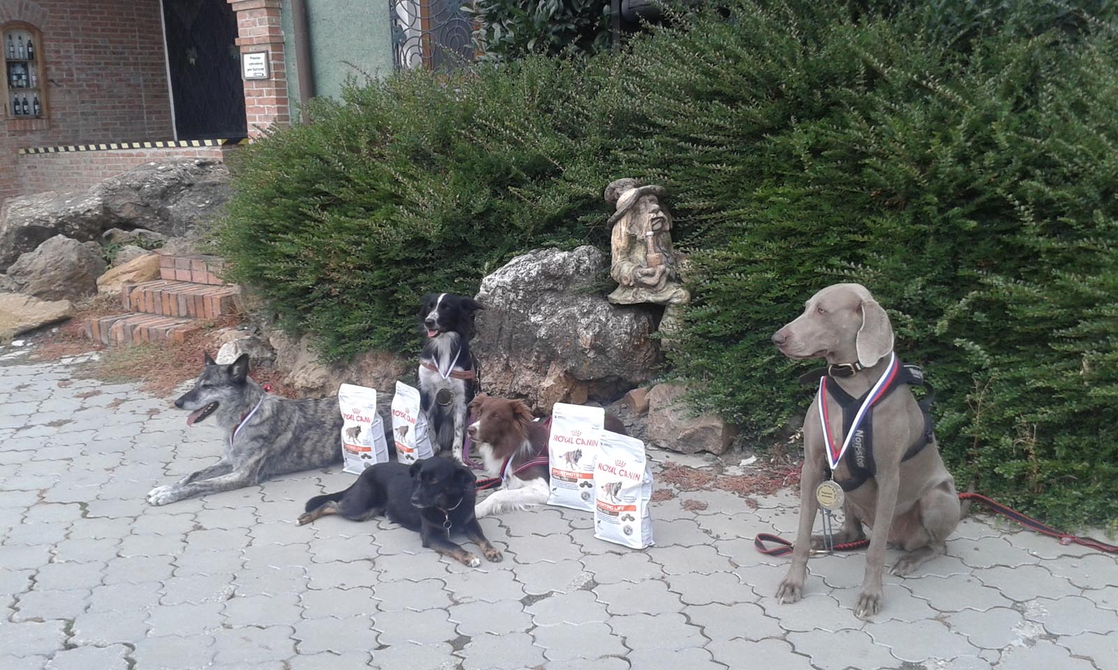 fotosoutez vlozeno z webu