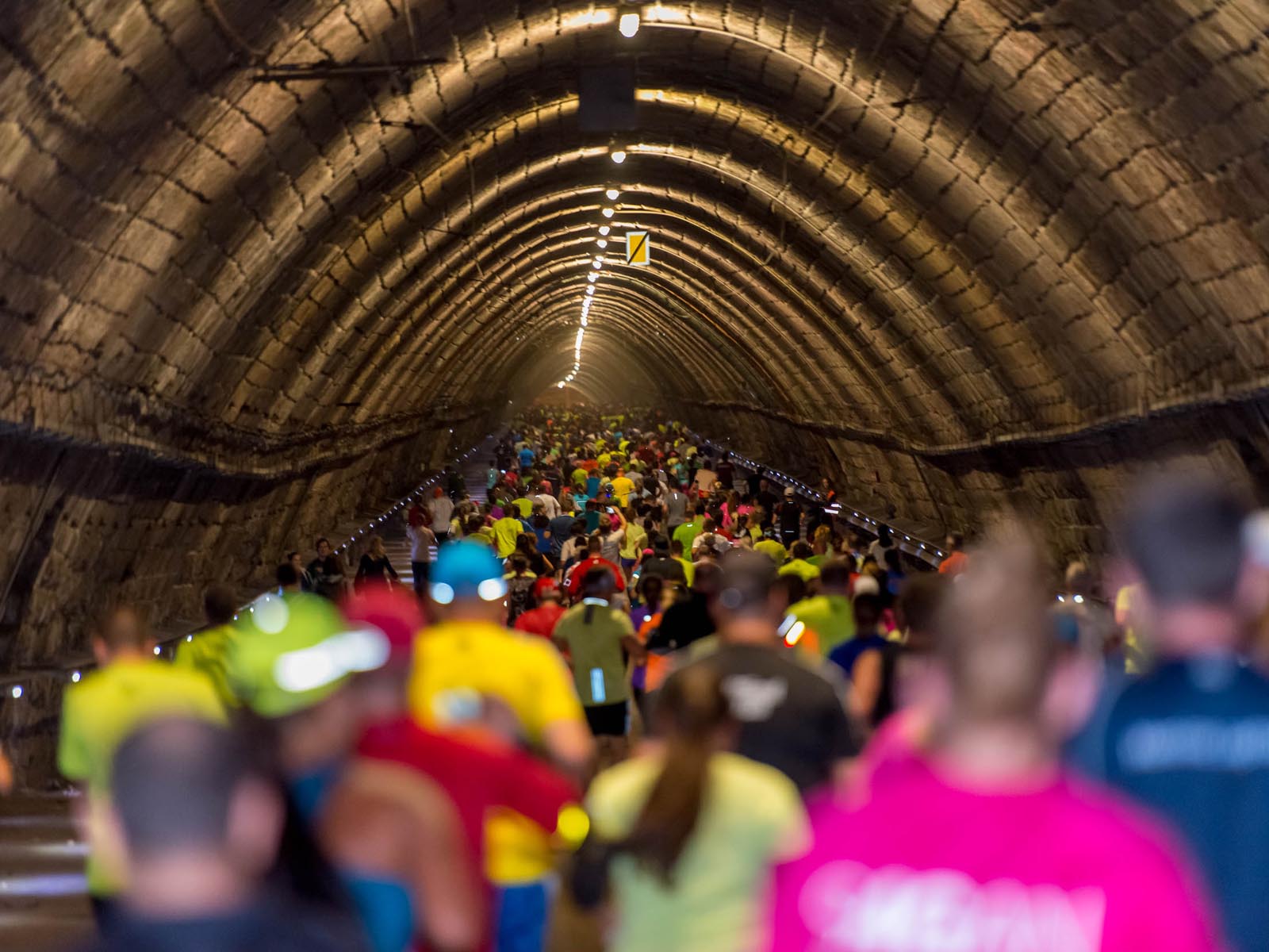 fotosoutez vlozeno z webu