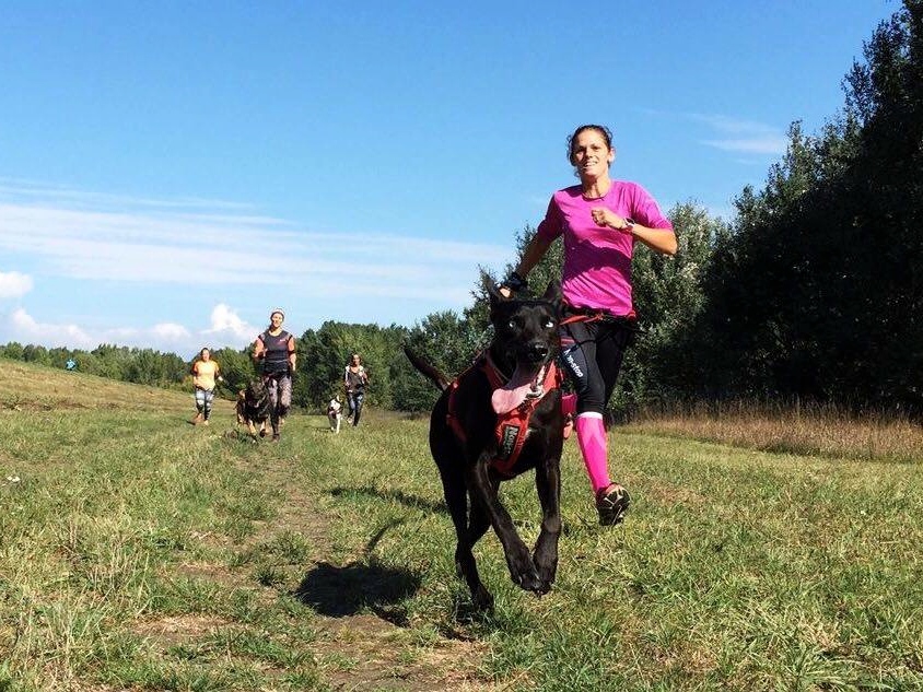 fotosoutez vlozeno z webu