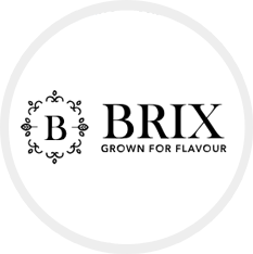 Logo Brix