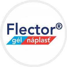 Logo - Flector gl nplas